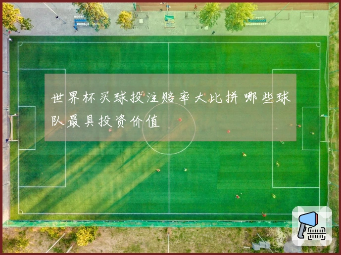 世界杯买球投注赔率大比拼 哪些球队最具投资价值
