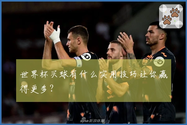 世界杯买球有什么实用技巧让你赢得更多？