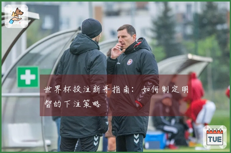 世界杯投注新手指南：如何制定明智的下注策略