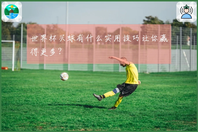 世界杯买球有什么实用技巧让你赢得更多？
