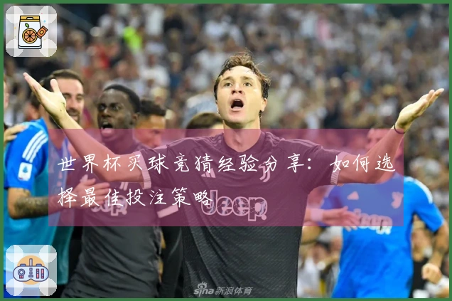世界杯买球竞猜经验分享：如何选择最佳投注策略
