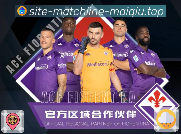 奖项证书